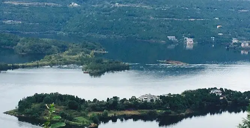 背景.png